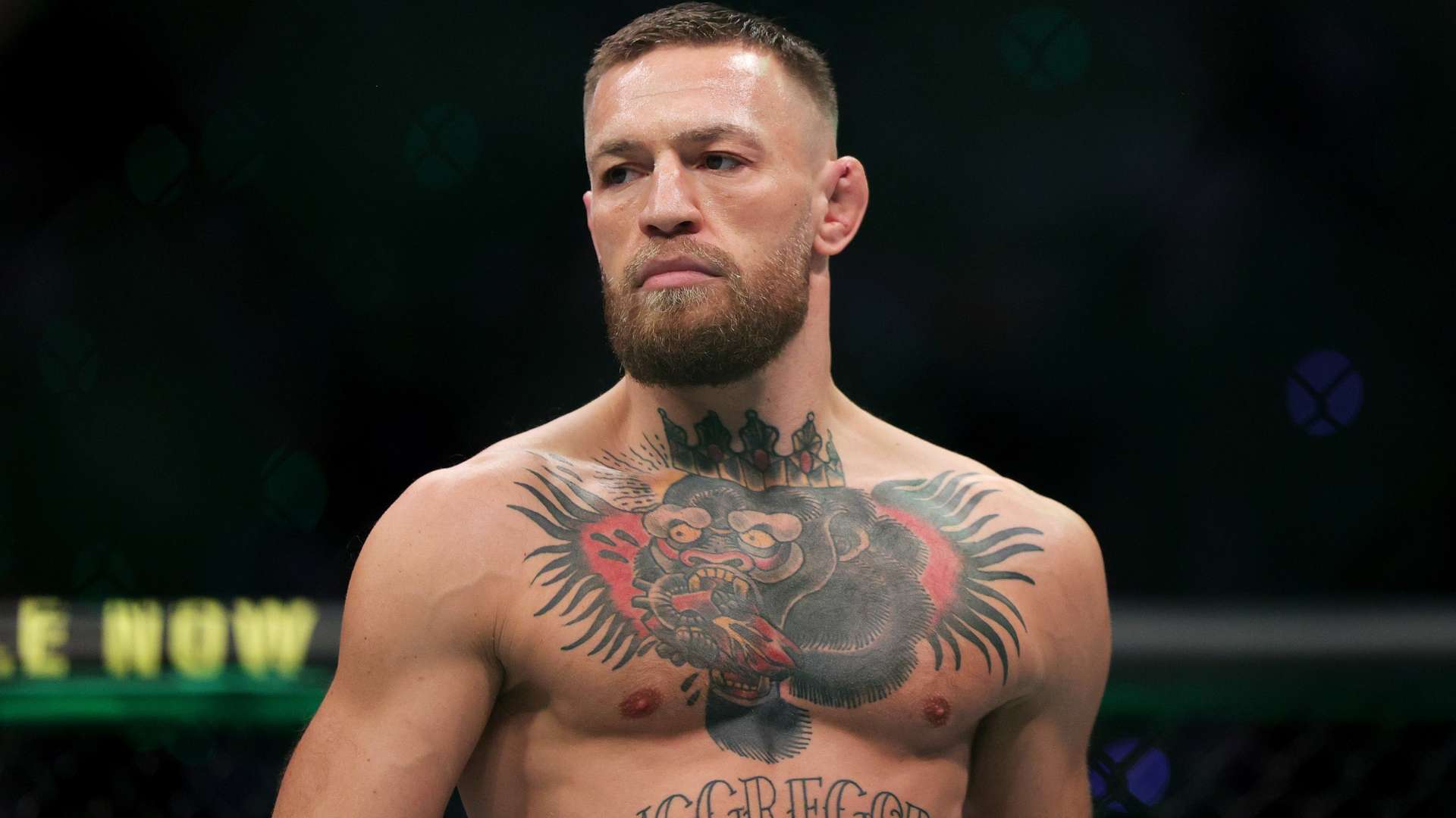 国家荣誉的 国家荣誉的